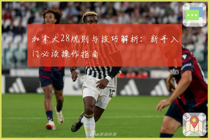 加拿大28规则与技巧解析：新手入门必读操作指南