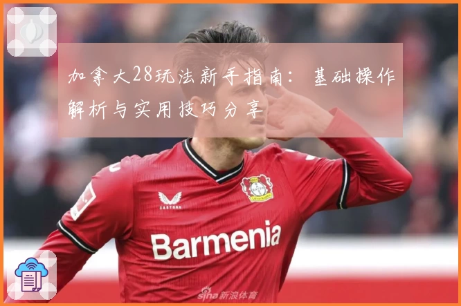 加拿大28玩法新手指南：基础操作解析与实用技巧分享