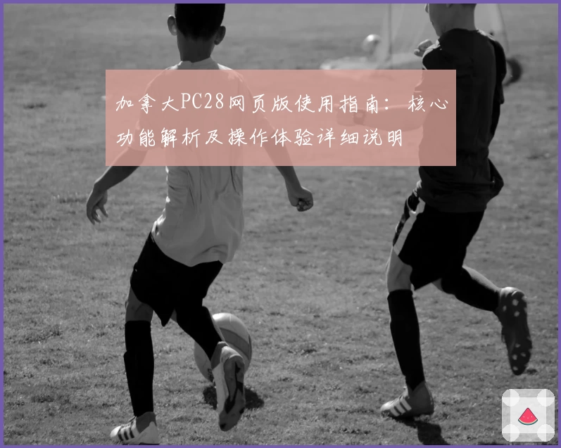 加拿大PC28网页版使用指南:核心功能解析及操作体验详细说明