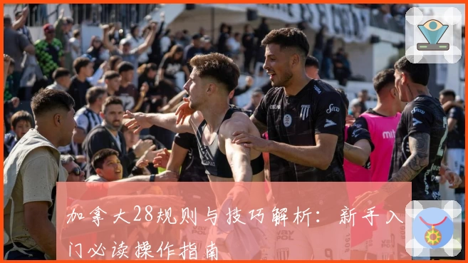 加拿大28规则与技巧解析:新手入门必读操作指南