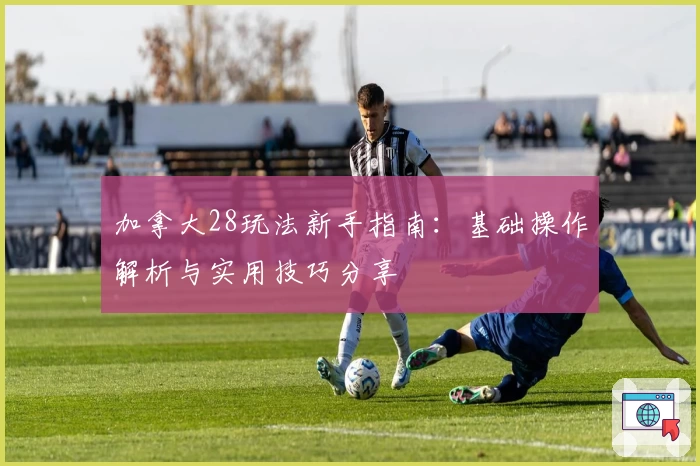 加拿大28玩法新手指南：基础操作解析与实用技巧分享