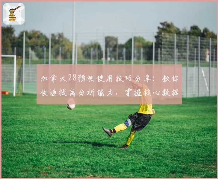 加拿大28预测使用技巧分享：教你快速提高分析能力，掌握核心数据规律